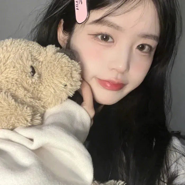 十二猴子